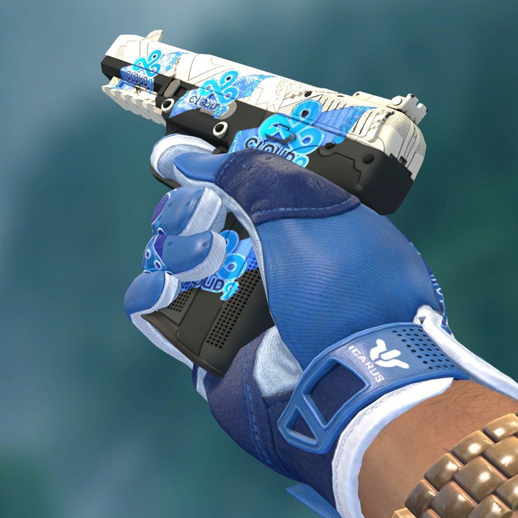 A Pistol Skin Was Sold For 1 300 All Because Of The Vagina Shaped Pattern