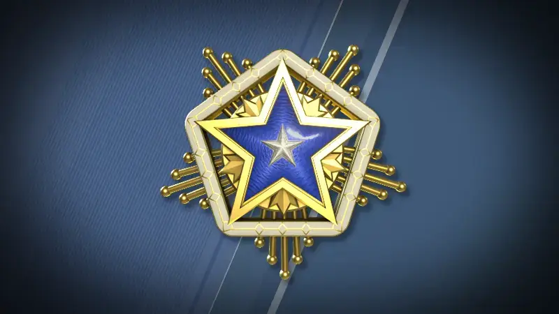 Appearance of the 2024 Service Medal