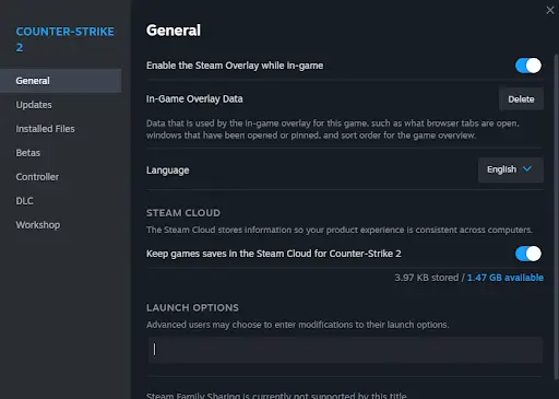 CS2 general launch options