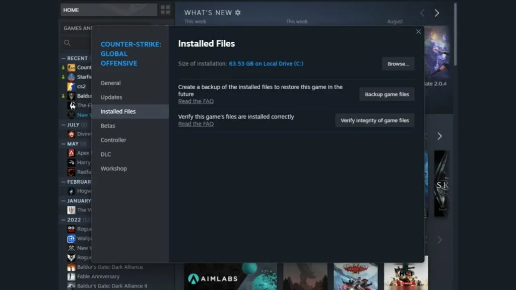 CS2 Steam installed files