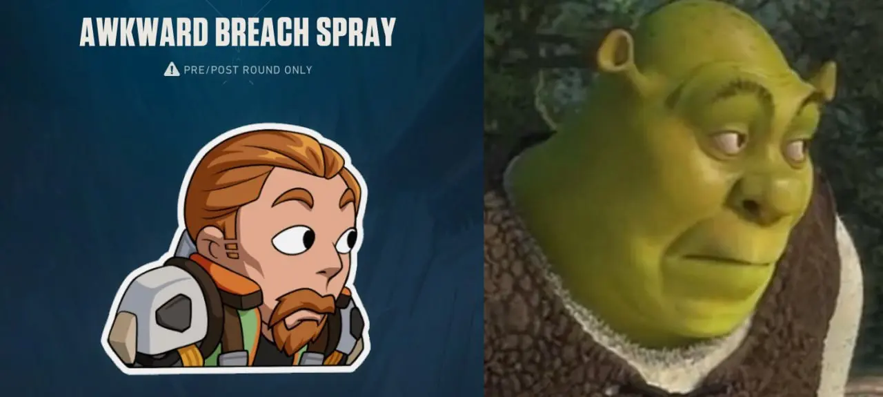 Awkward Breach Spray