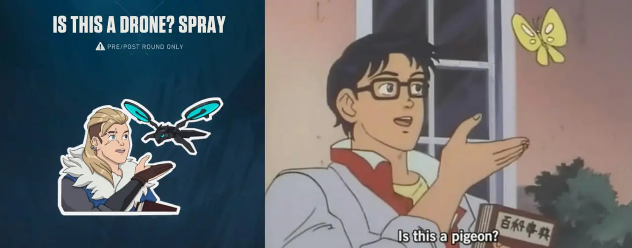 Is This a Drone? Spray