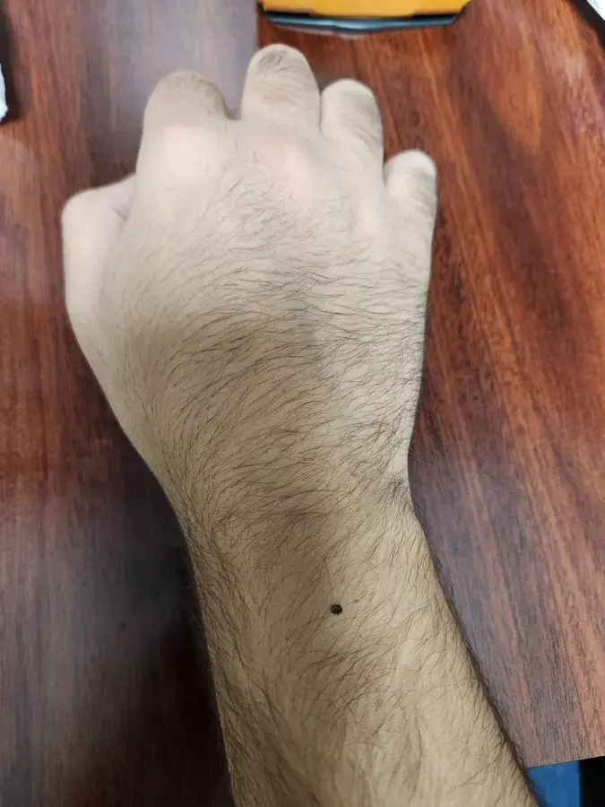 @PlokiiDot