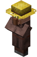 &nbsp; &nbsp;