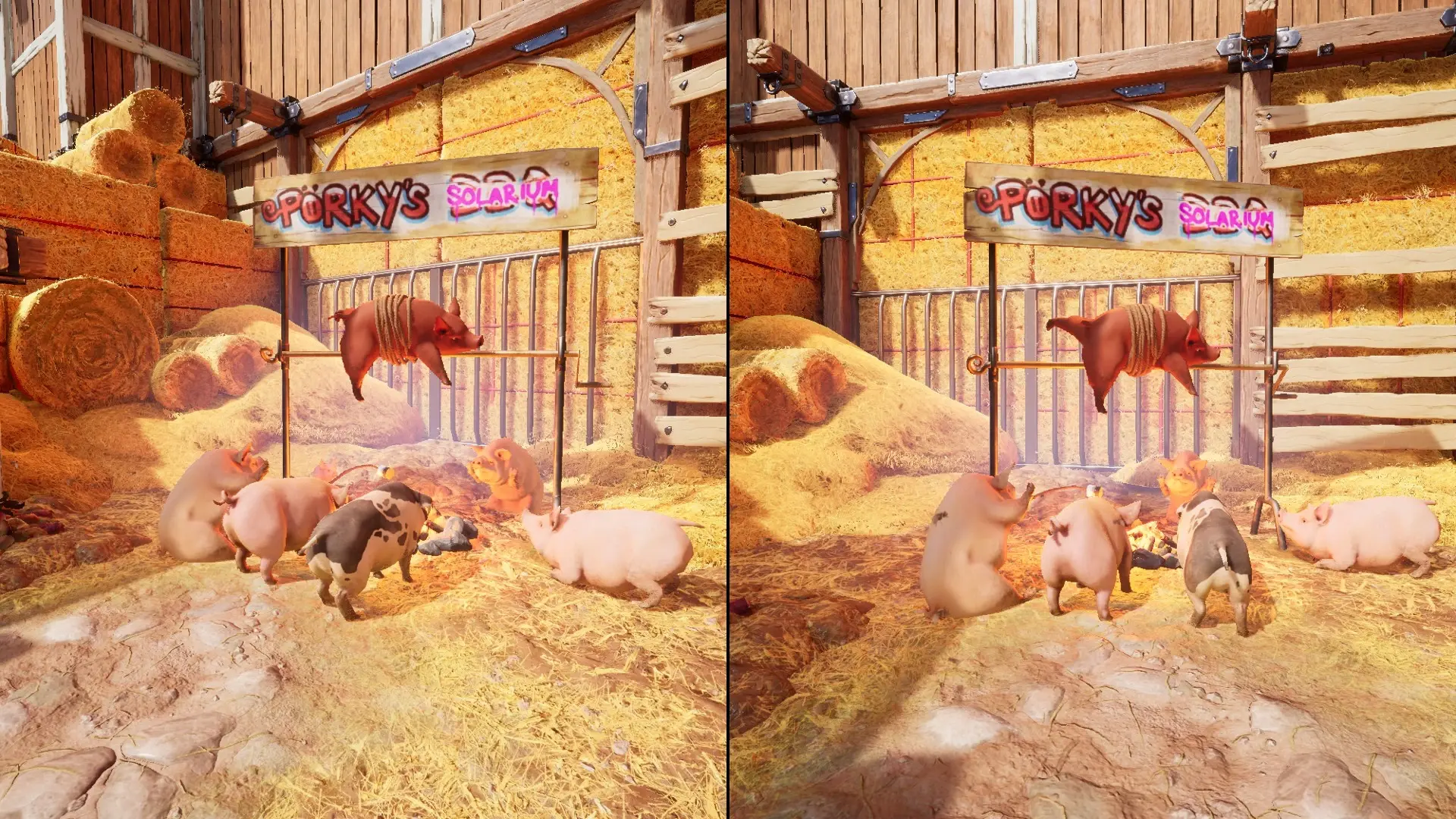 &nbsp; &nbsp; &nbsp; &nbsp; &nbsp; &nbsp;&nbsp;