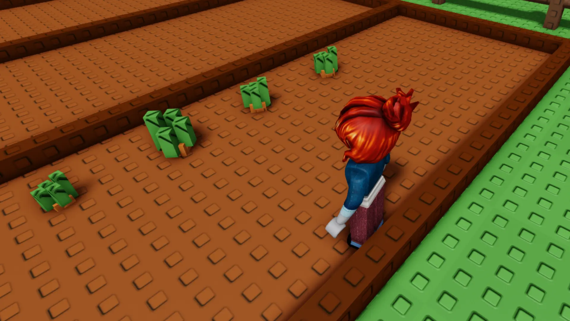 Grow A Garden Roblox.