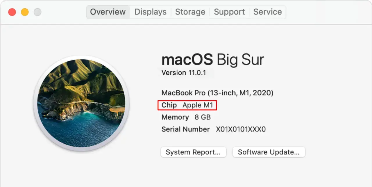 settings macOS Big Sur