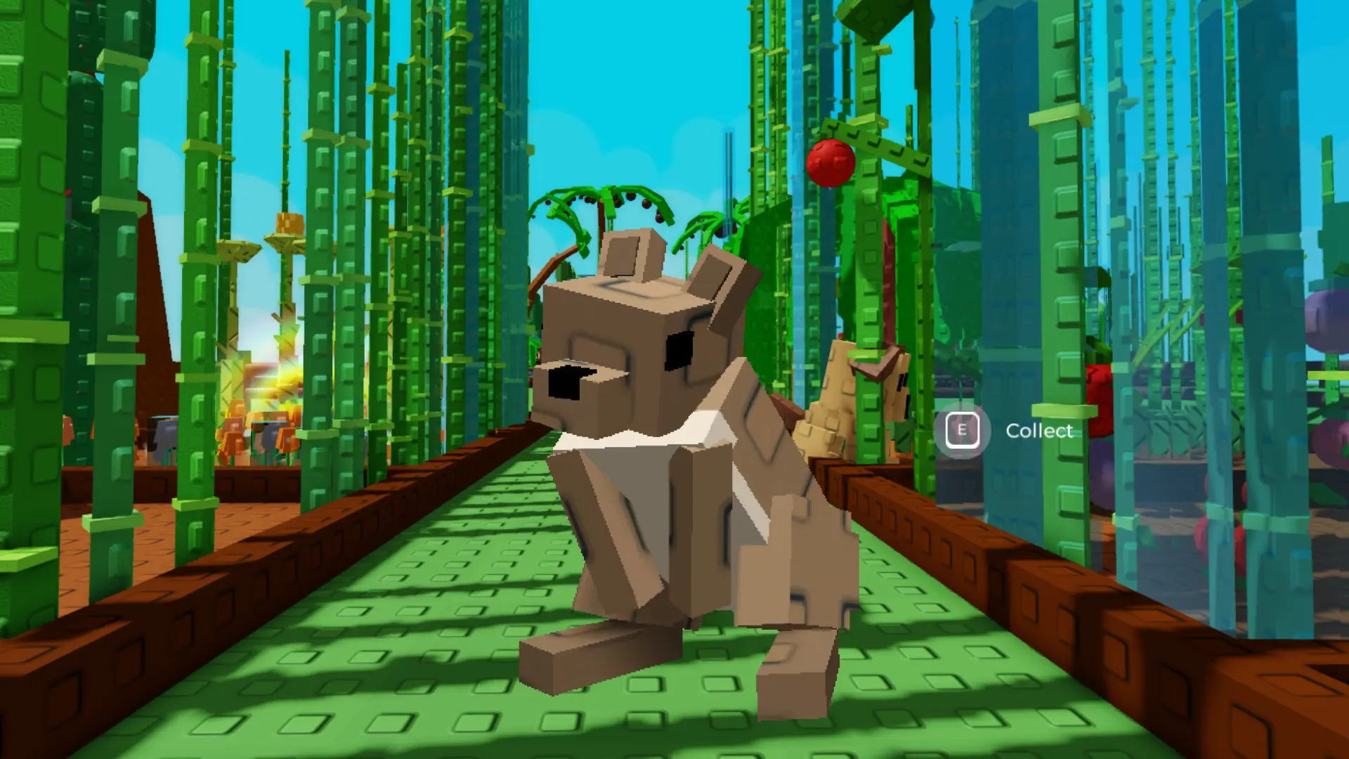 squirrel