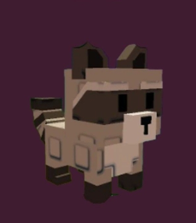 Raccoon in Grow a Garden