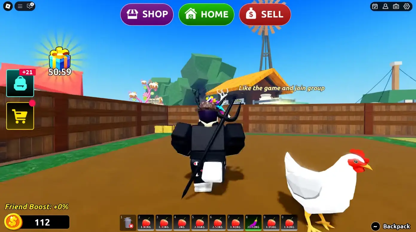 &nbsp; &nbsp;