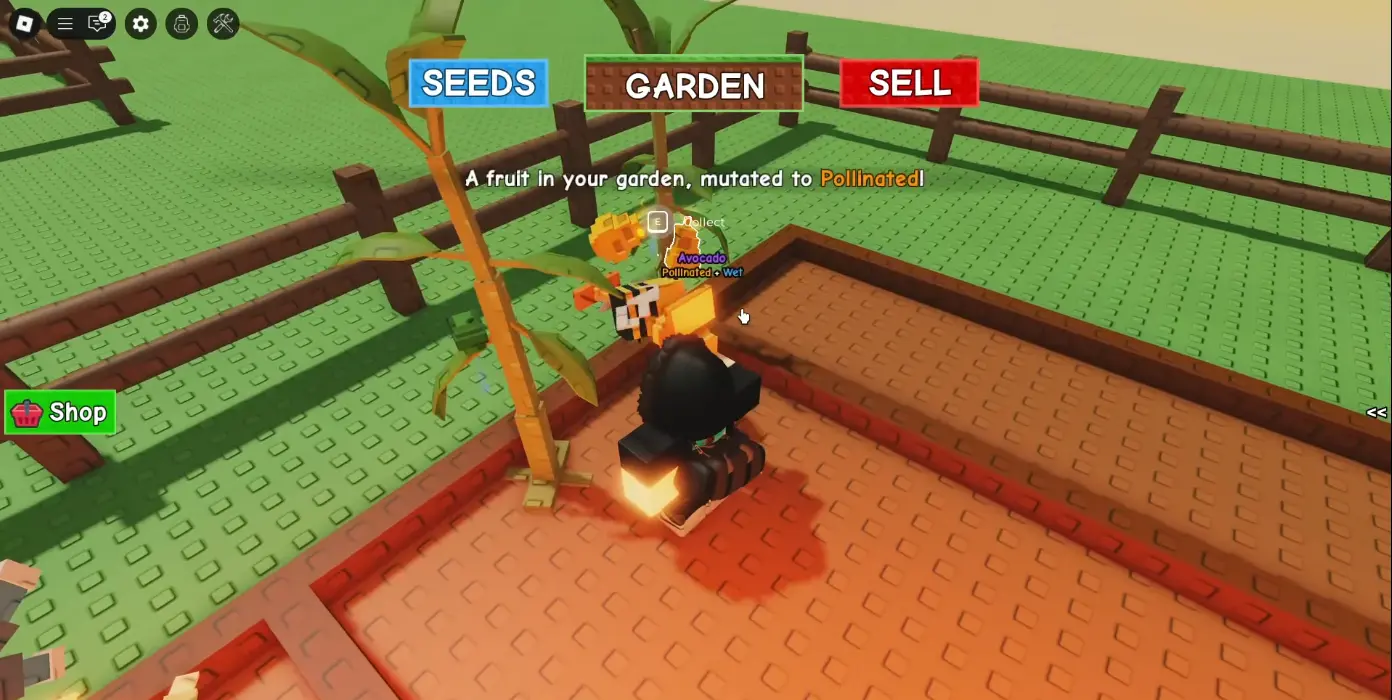 &nbsp; &nbsp;