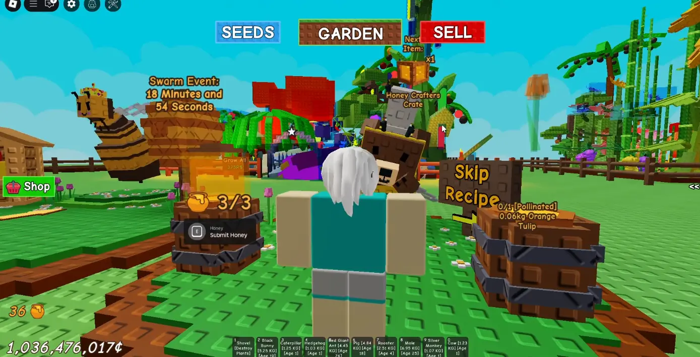 &nbsp; &nbsp;