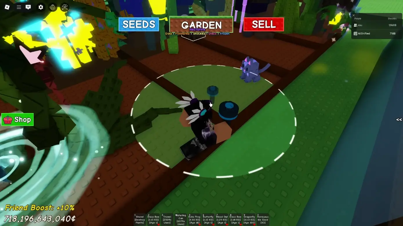 &nbsp; &nbsp;