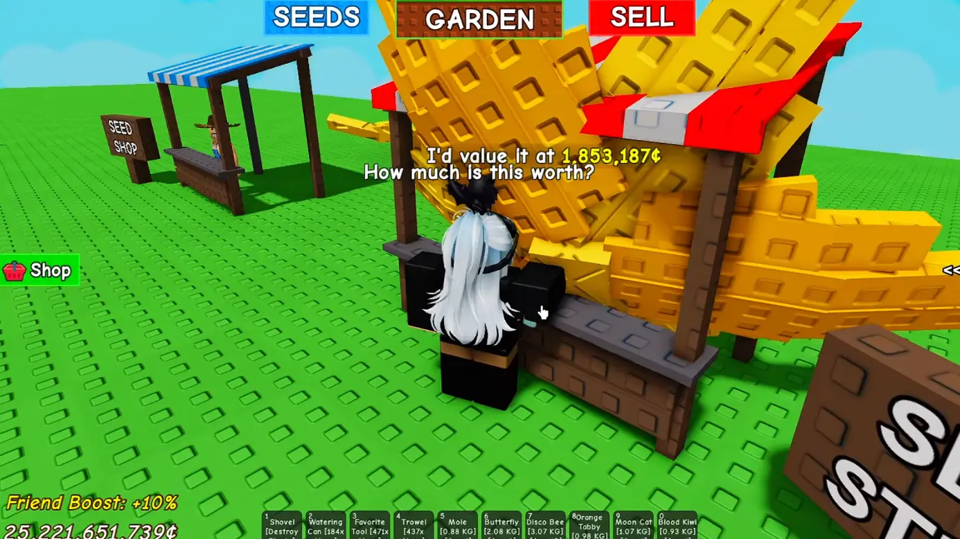 &nbsp; &nbsp;
