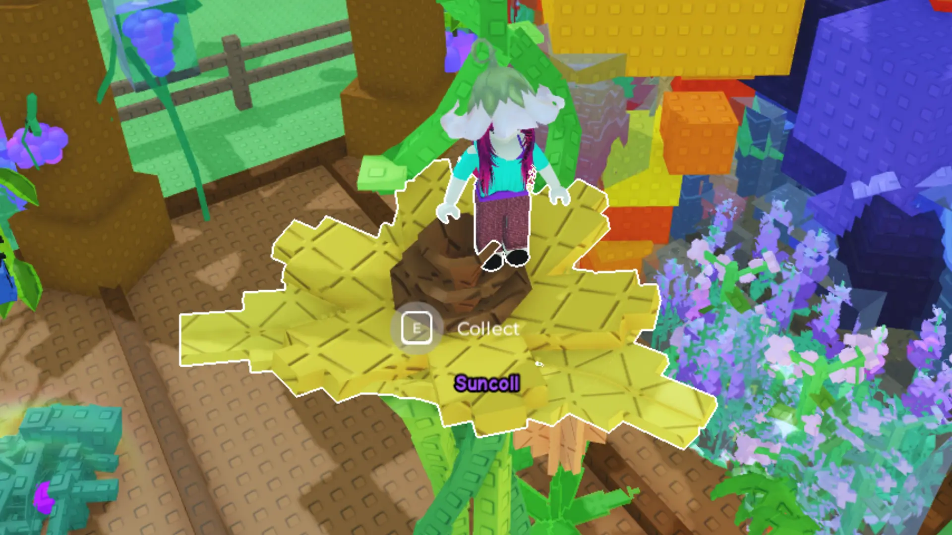 Suncoil dalam Grow A Garden