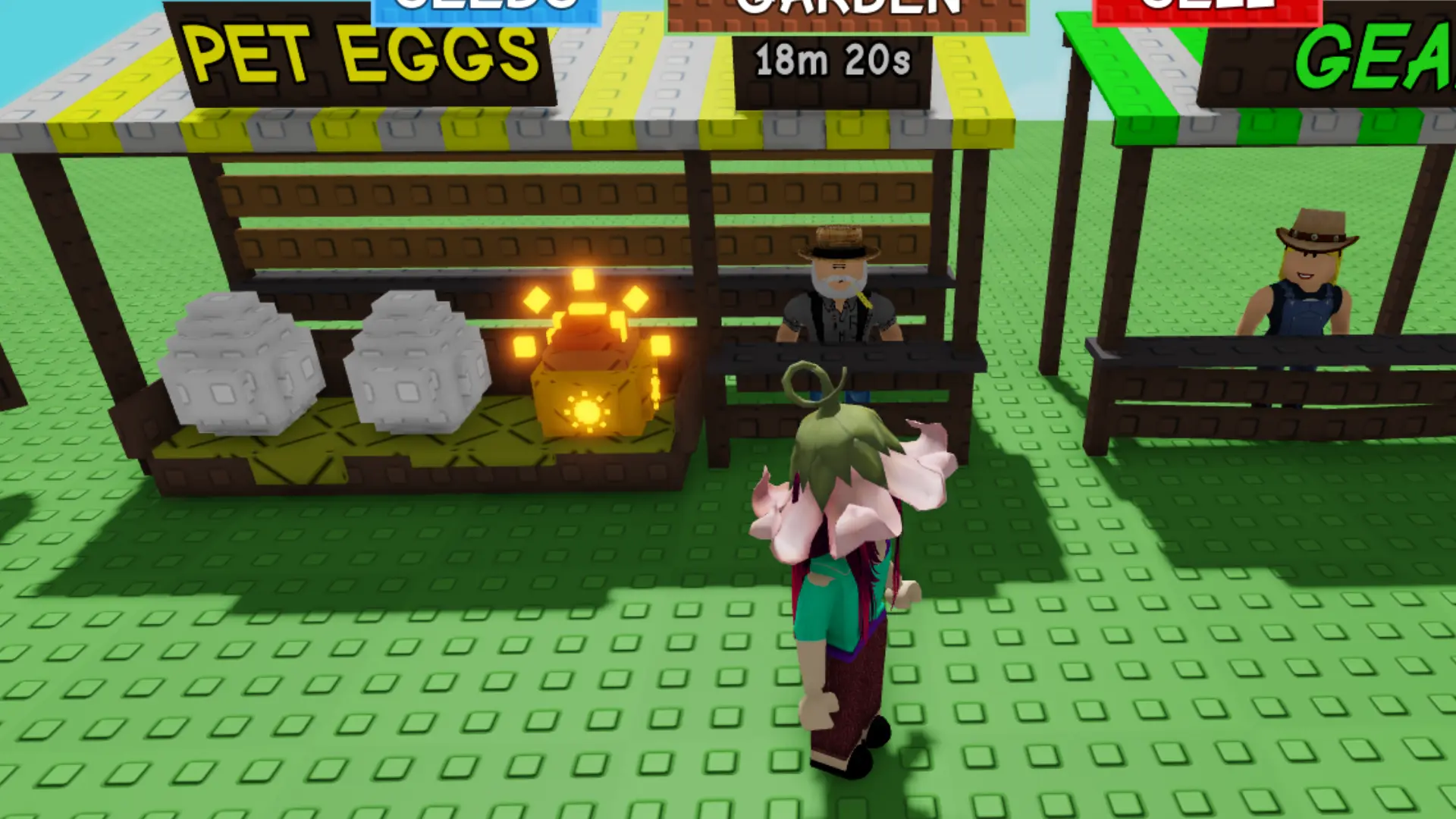 Paradise Egg in the Pet Eggs shop