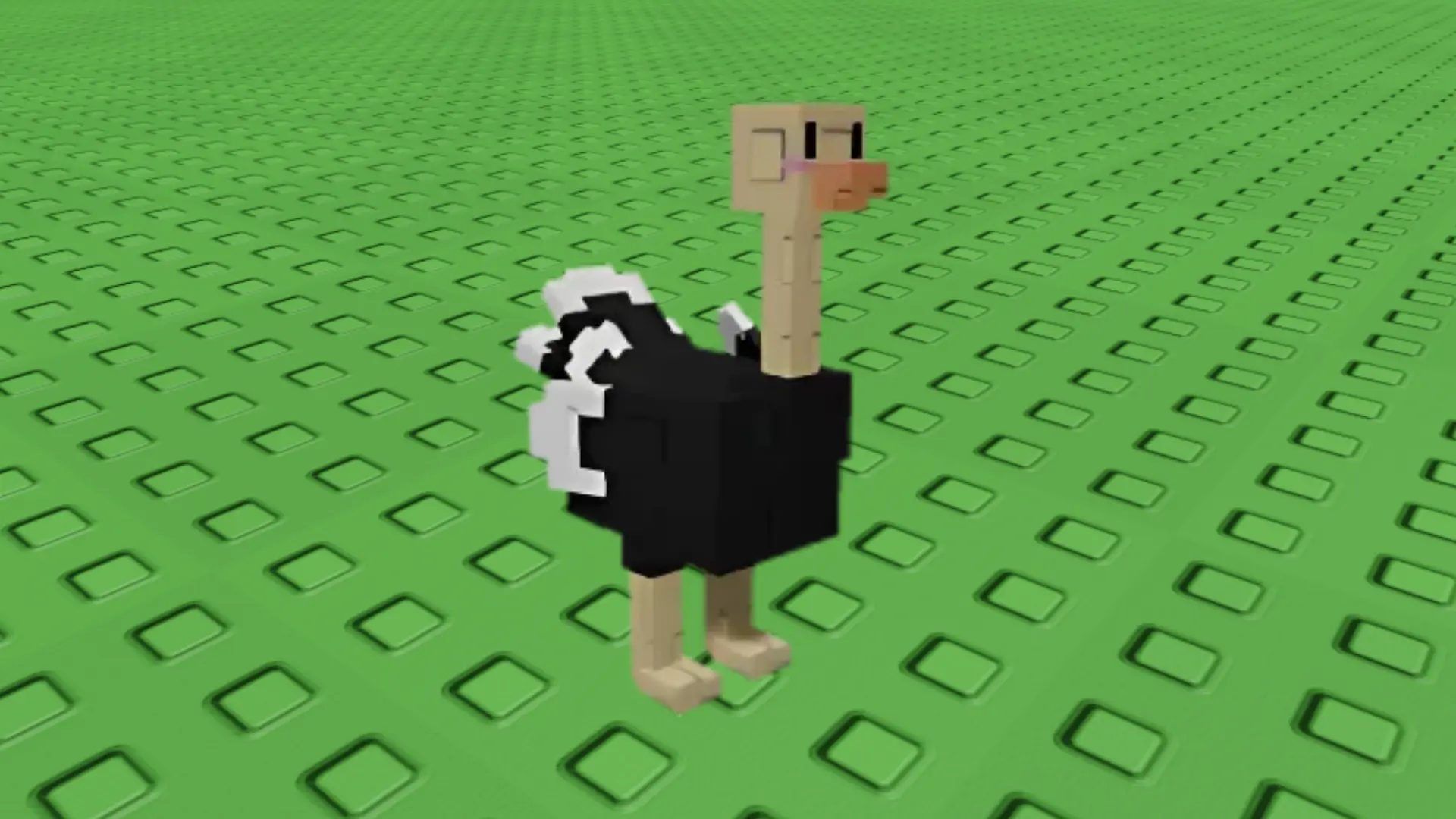 Ostrich in Paradise Egg