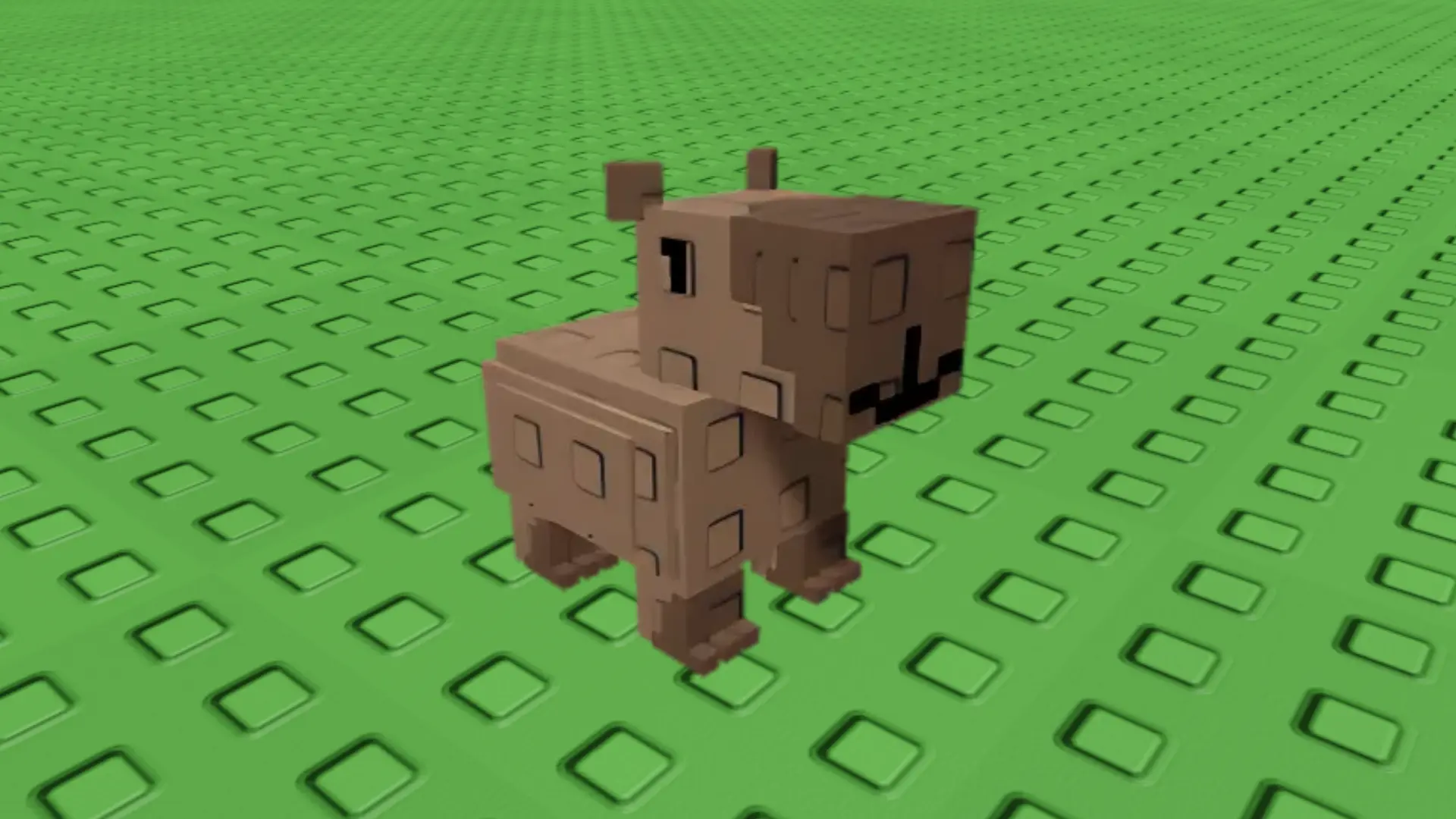Capybara in Paradise Egg