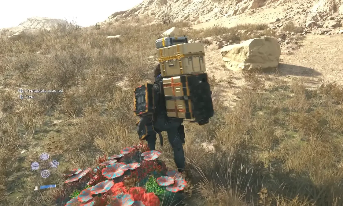 Recolección de cryptobiotes en Death Stranding 2