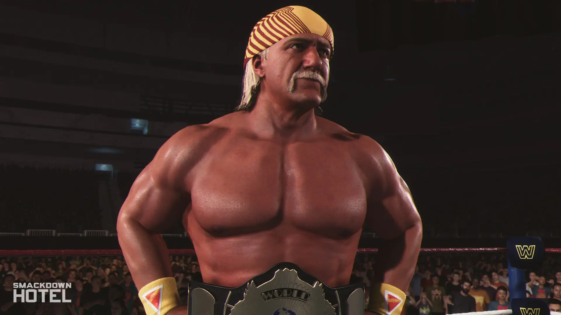 WWE 2k25