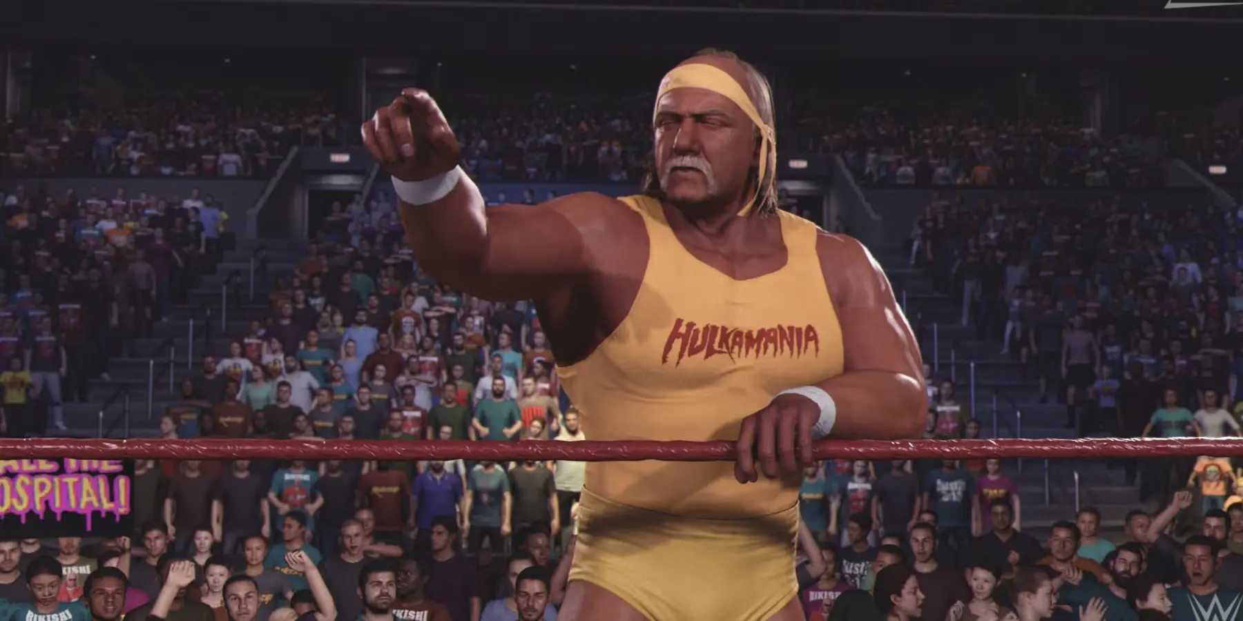 WWE 2k25