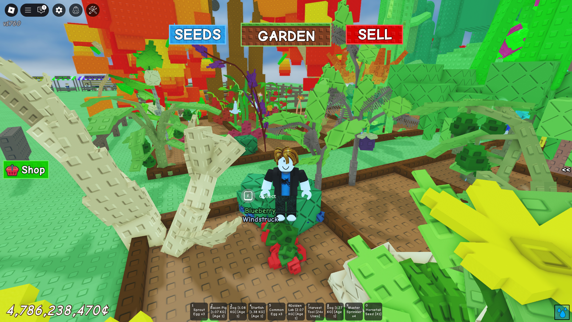 Semak Strawberry dan Blueberry di Grow a Garden