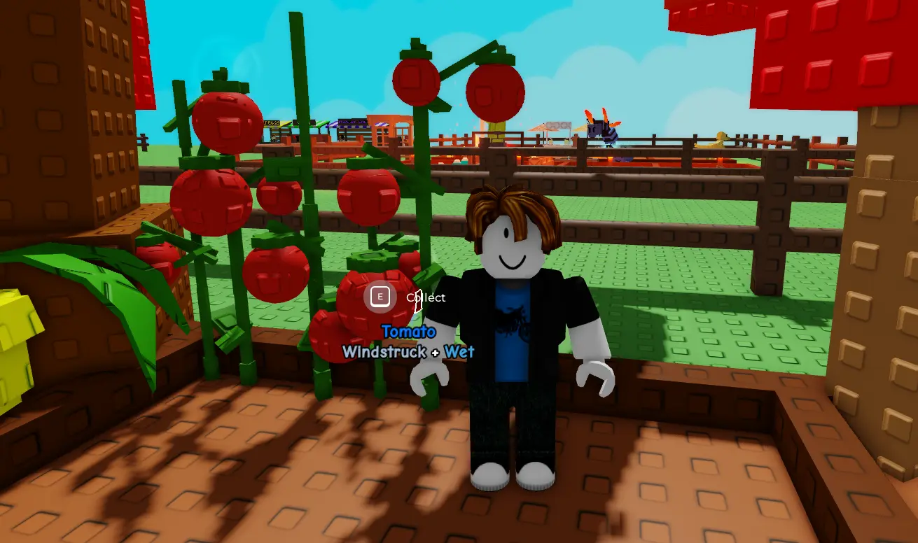 Tomatoes in Grow a Garden