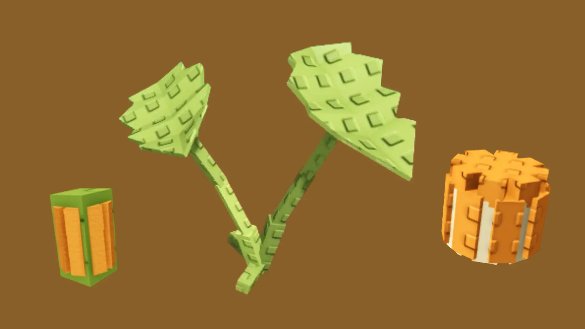 Carnival Pumpkin seed, plant and fruit