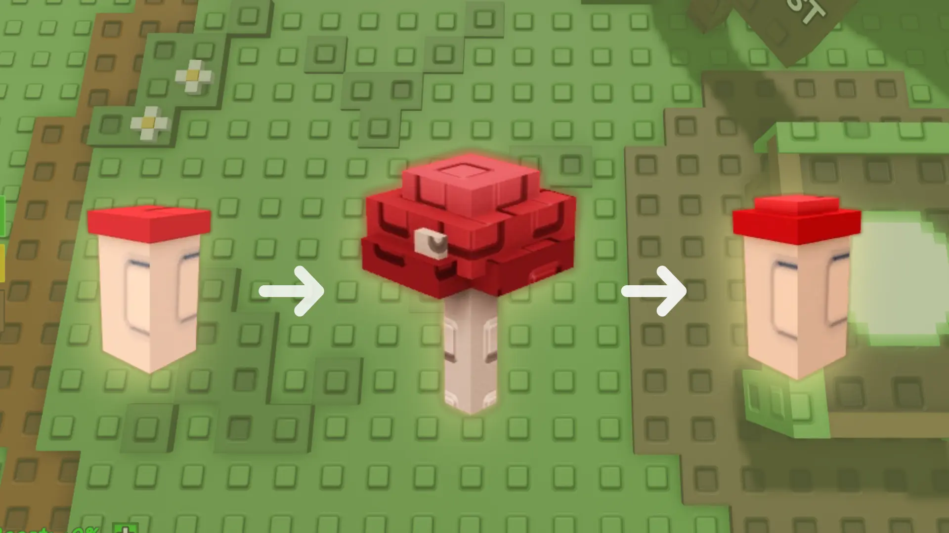 evolution of an Evo Mushroom Seed