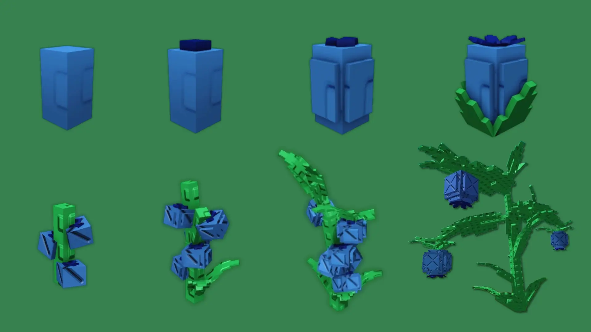 Evo Blueberry, formas de semilla y planta (Evo 1, 2, 3 y 4)
