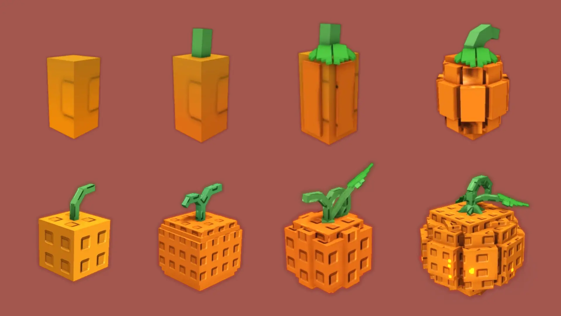 Evo Pumpkin, formas de semilla y planta (Evo 1, 2, 3 y 4)