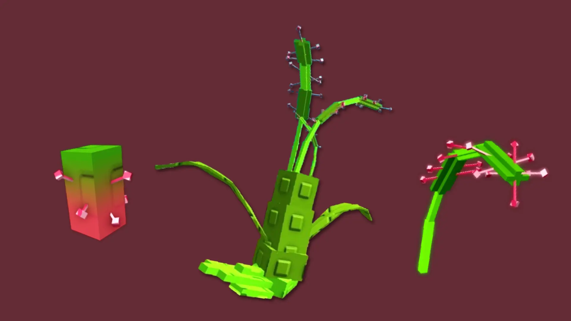 Sundew semilla, planta y fruto