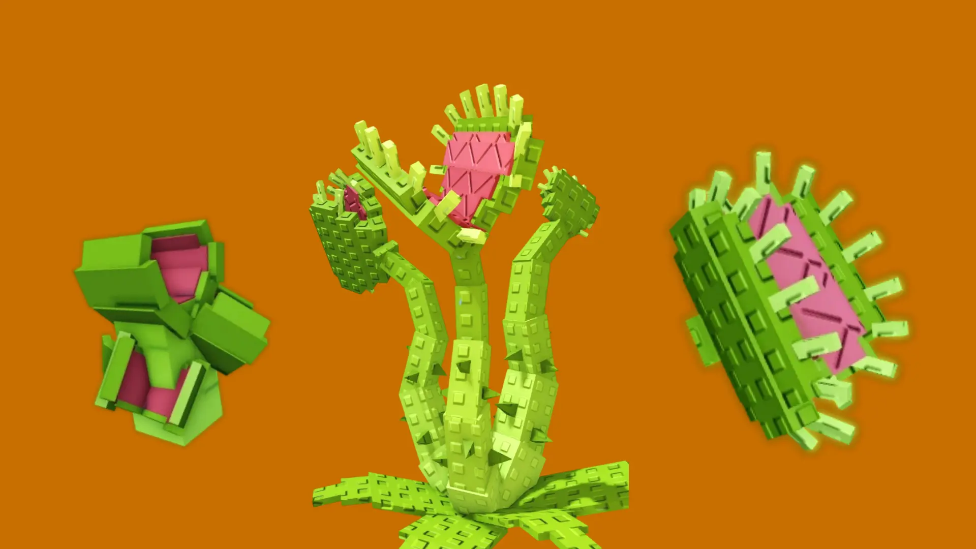 Multitrap semilla, planta y fruto