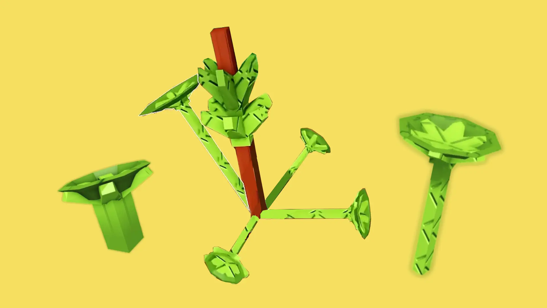 Naval Wort semilla, planta y fruto