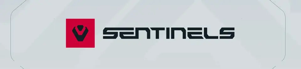 Sentinels отримала додаткове фінансування для продовження своєї діяльності