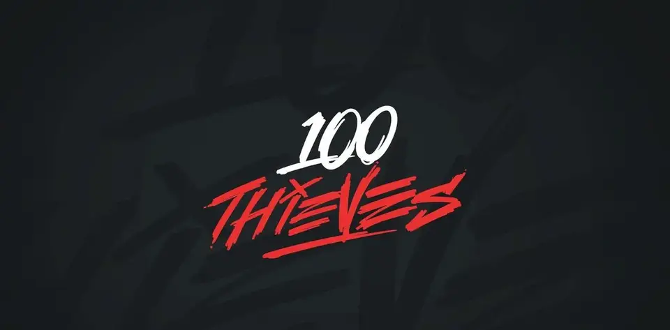 Fans' expectations were not met - NaturE decided not to stay with 100Thieves