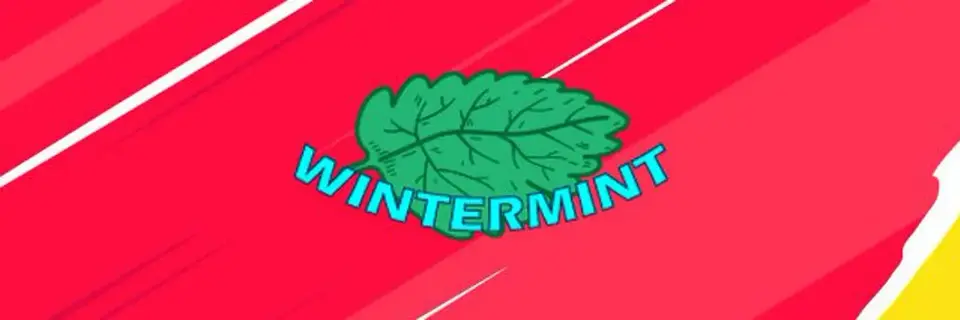 A equipe europeia sem a organização Wintermint se despede de dois membros