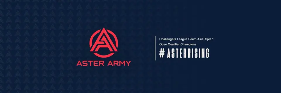 The organization Aster Army is temporarily leaving esports and will miss the upcoming season in Valorant