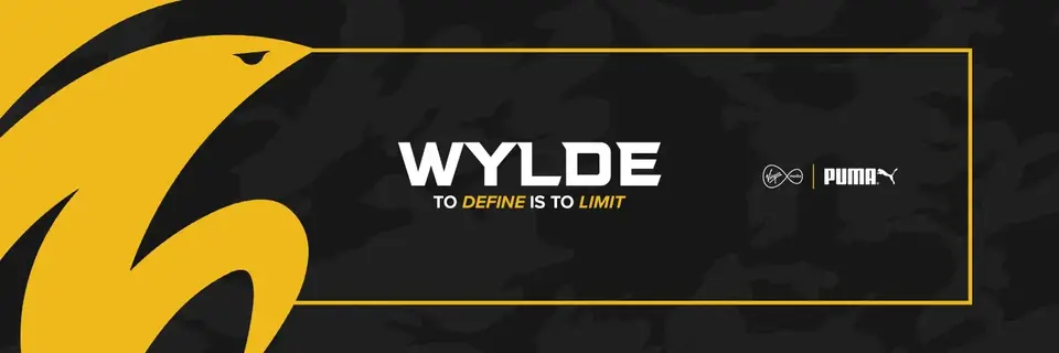The Irish organization WYLDE has presented an academic roster for Valorant