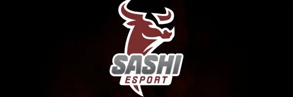 Sashi Esport вітає Еміля "sL1m3" Штольца та оголошує про зміни у складі команди