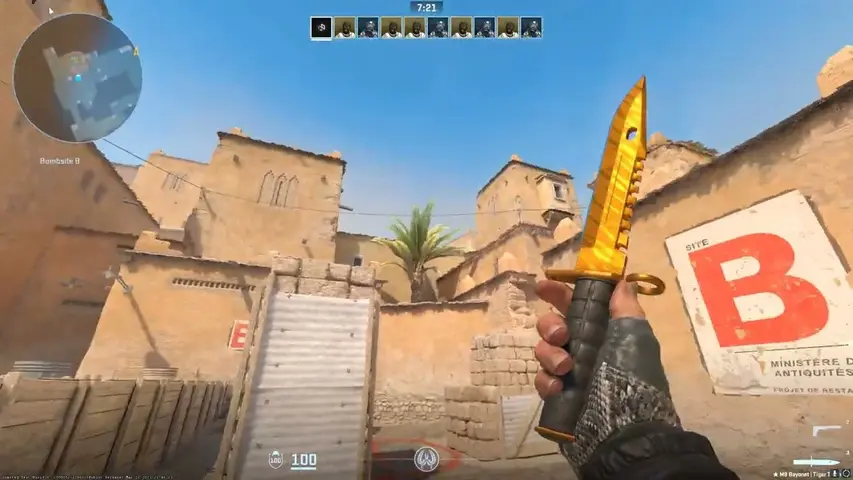 M9 Bayonet Tiger Tooth