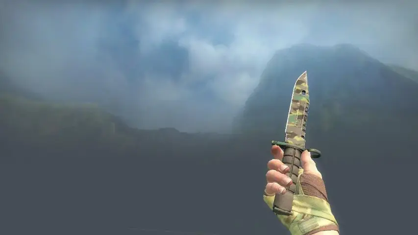 ★ M9 Bayonet Boreal Forest