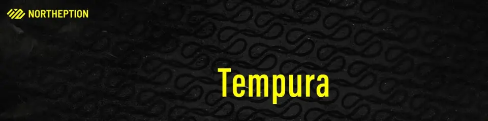 Tempura annonce son départ de NORTHEPTION