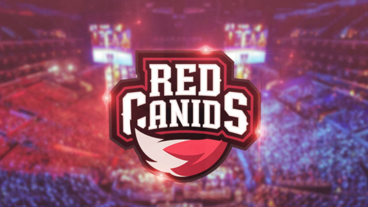 HEN1 may be joining the RED Canids