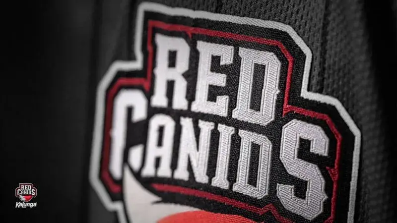 HEN1 se junta à RED Canids: Uma nova era para o CS brasileiro