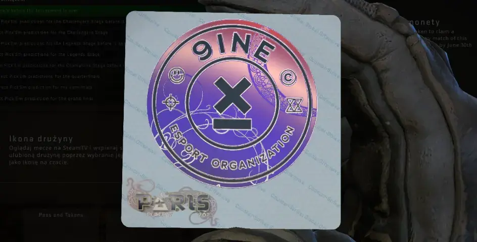 Valve fixed the stickers of the 9INE team