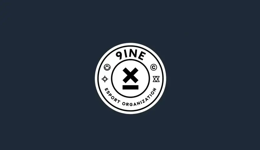 9INE organized a charity event to help flood victims in Poland