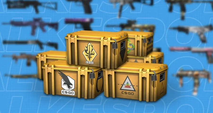 15 most expensive cases in CS:GO