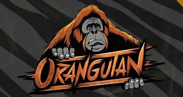 Организация Orangutan прощается с главным тренером
