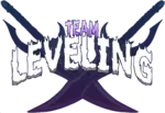 Team Leveling